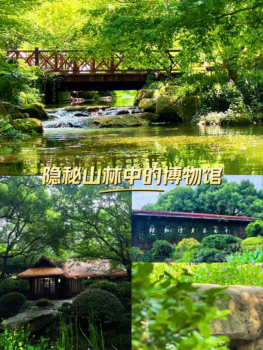 隐秘山林中的博物馆