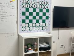 -常青藤国际象棋(新奥店)