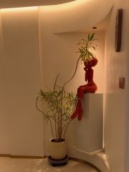 -WENDY·温迪皮肤管理