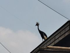 -太原动物园