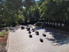 -广东惠东海龟国家级自然保护区