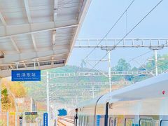 -悦城龙母祖庙