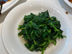 酒香豆苗-老吉士酒家(天平路店)