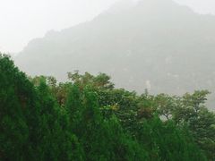 -北京鹫峰国家森林公园