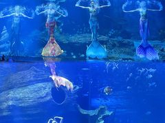 -多彩贵州城极地海洋世界