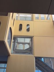 点击看大图 -超级奈尔宝SUPER NEOBIO(杭州星光店)