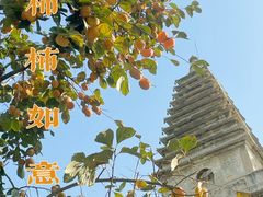 -北京石刻艺术博物馆(五塔寺)
