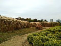 -尚贤河湿地
