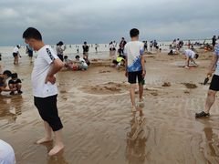 -刘家湾赶海园