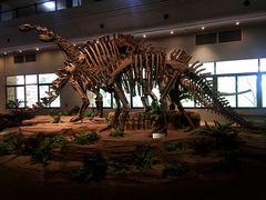 -自贡恐龙博物馆