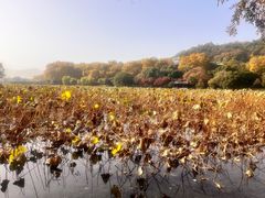 -楼外楼(西湖景区孤山路店)