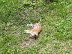 -哈尔滨北方森林动物园