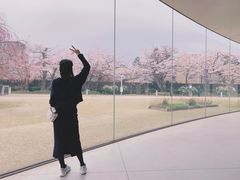 -金泽21世纪美术馆