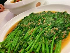 生煎茼蒿-禾珍珠家常小馆(河南博物院店)