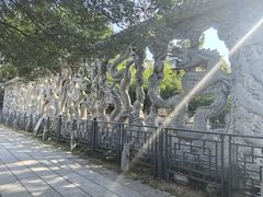 -安徽八里河旅游区