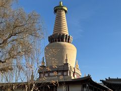 -张掖大佛寺景区