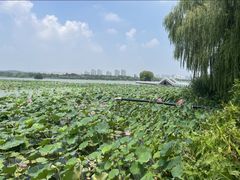 -云龙湖旅游景区