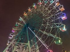 -巨鹏飞梦幻海岸