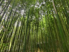 -泰山风景名胜区-普照寺