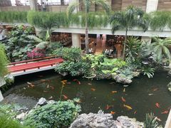 -白天鹅宾馆-宏图府餐厅