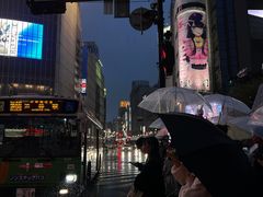 -涩谷区