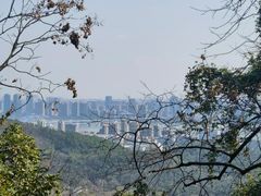 -八卦田遗址公园