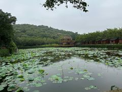 -李小龙乐园(顺德均安店)