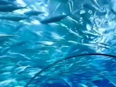 -华夏文旅西安度假区