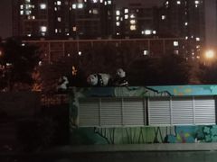 -盒马鲜生(红莲店)