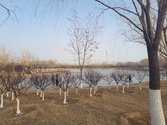 -永定河休闲森林公园