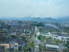-都江堰中心国际酒店