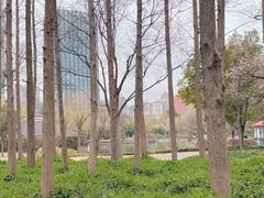 -新虹桥中心花园