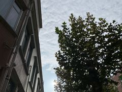 -四川大学(望江校区)
