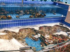 水产区-乔哥铭洋海鲜自助(皇城恒隆广场店)