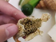 -长沙三景韦尔斯利酒店·Oval全日制餐厅自助餐