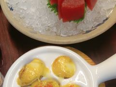 -黑松白鹿(金融街店)