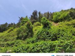 -白塔山公园