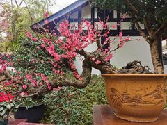 -成都杜甫草堂博物馆