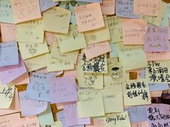 -白兔子密室(长寿路店)