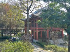 -顺峰山公园