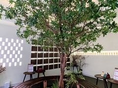 -静耳元気采耳·按摩·SPA(万象前海店)