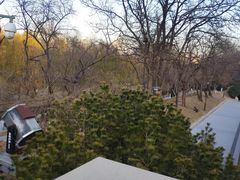 -元大都城垣遗址公园