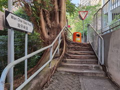 -太平山顶
