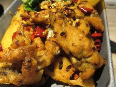 -佬肥猫(七宝宝龙店)