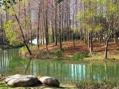 -尚贤河湿地