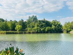 -西溪国家湿地公园