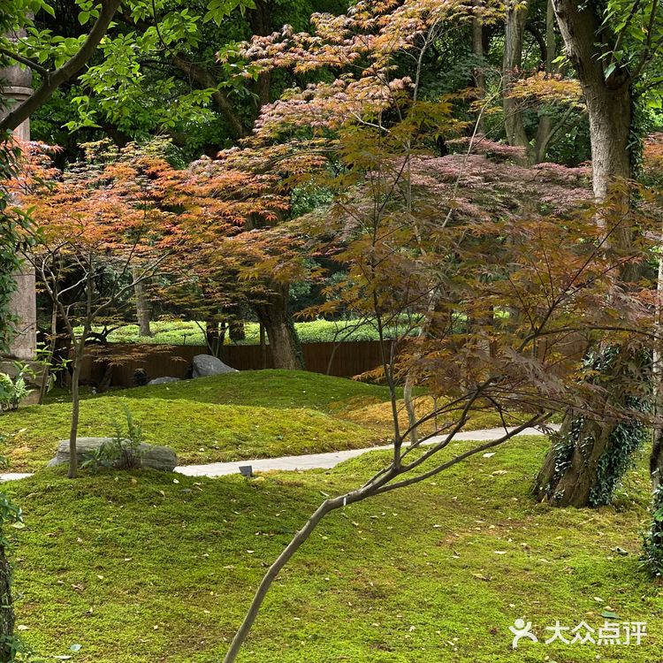 杭州旅游 | 青竺茶食 
