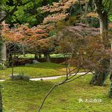 杭州旅游 | 青竺茶食 