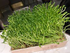 -领鲜天下·焗海鲜·花胶鸡(天目里店)