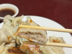 -东门饺子馆(少年宫路店)